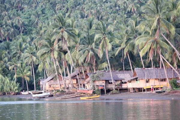 Surigao Del Sur Filipinas Agosto 2014 Aldeia Piscatória Com Coqueiros — Fotografia de Stock