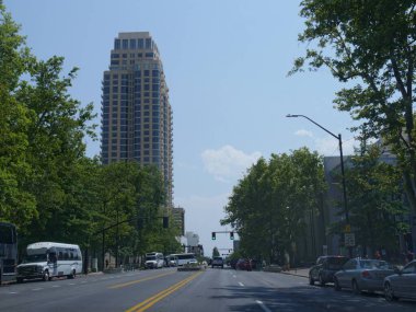Salt Lake City, Utah- Temmuz 2018: Salt Lake City 'nin sokak fotoğrafı, ağaçların tepesinde yükselen modern bir gökdelen..