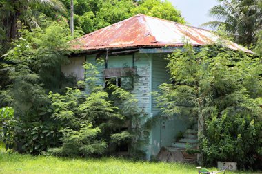 Guam yolu boyunca çalılarla kaplı terk edilmiş ahşap bir ev.. 