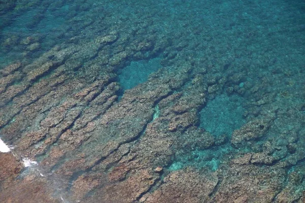 Corales Debajo Aguas Cristalinas Color Verde Claro Azul Tiro Aéreo —  Fotos de Stock