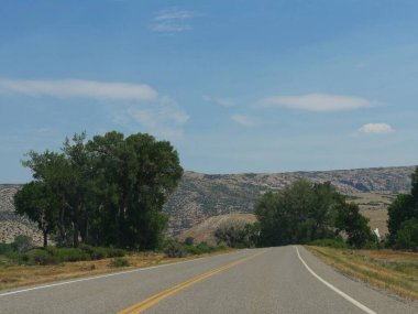 Ağaçlarla çevrili, Wyoming manzaralı, dolambaçlı asfalt bir yol..
