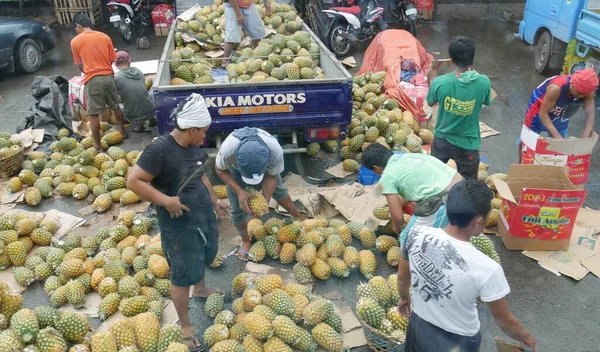 Tagum City Philippines Março 2016 Foto Cortada Pessoas Escolhendo Frutas — Fotografia de Stock