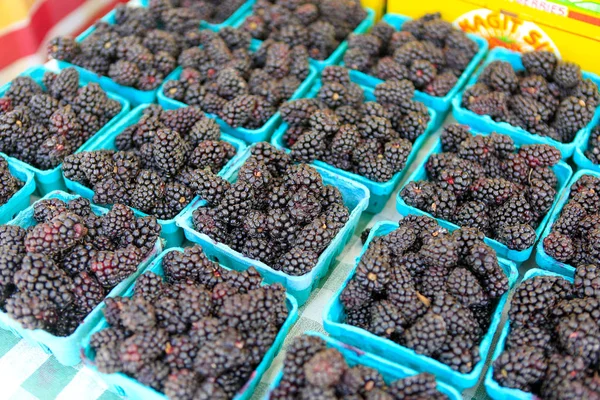 Ekologiskt odlade björnbär till salu på downtown farmers' market. — Stockfoto