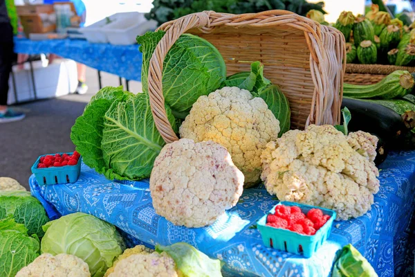 Coliflor orgánica fresca en el mercado de agricultores locales . — Foto de Stock