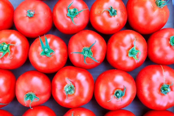 Organic red tomatoes at farmers' market. — Stock Photo, Image
