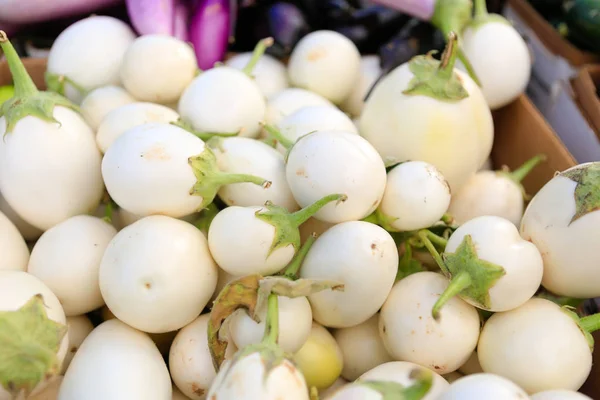 Primer plano de pequeñas berenjenas blancas en el mercado de agricultores — Foto de Stock