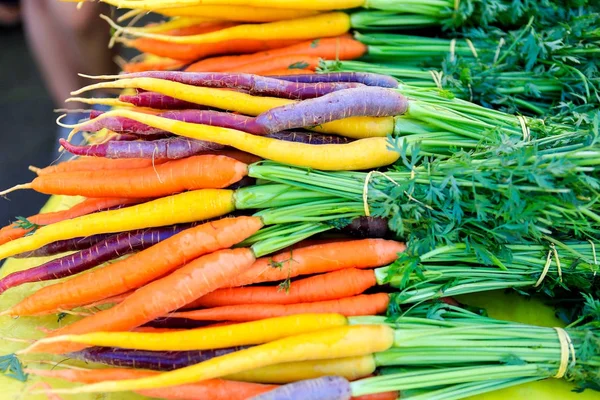 Zanahorias frescas de color púrpura y naranja en exhibición en el mercado de agricultores . — Foto de Stock