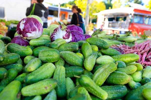 Pepinos orgánicos frescos en el mercado de agricultores locales . — Foto de Stock