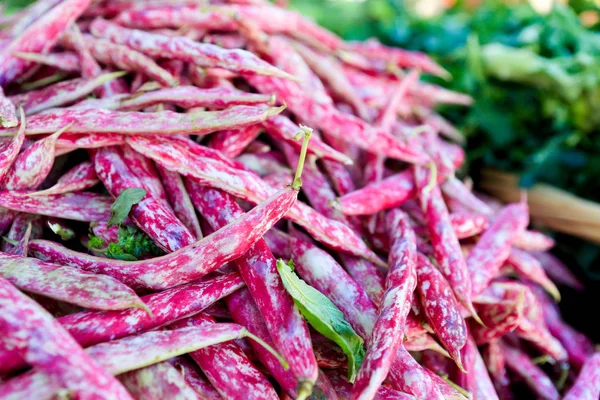 Judías Borlotti rojas y moradas en un mercado de agricultores — Foto de Stock