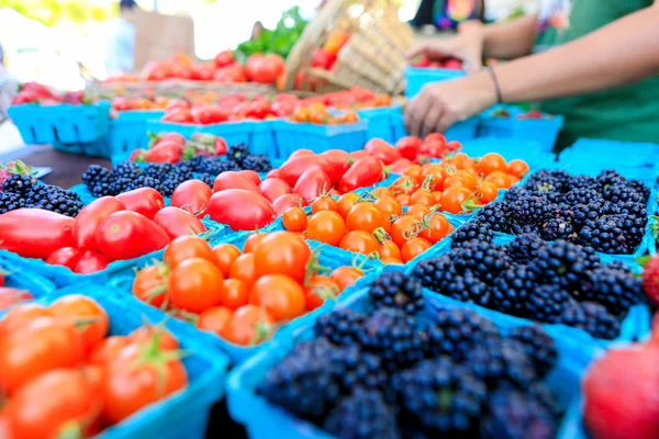 Tomates rojos ecológicos en un mercado de agricultores —  Fotos de Stock