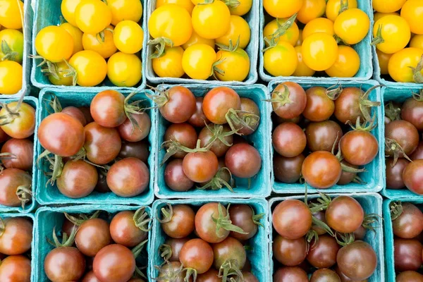 Organic black and yellow cherry tomatoes at a Farmer's Market — Stock Photo, Image