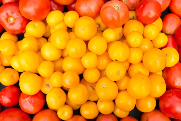 Organic red and golden tomatoes at farmers' market. — Stock Photo, Image