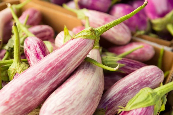 Primer plano de las berenjenas orgánicas frescas en el mercado de los agricultores — Foto de Stock