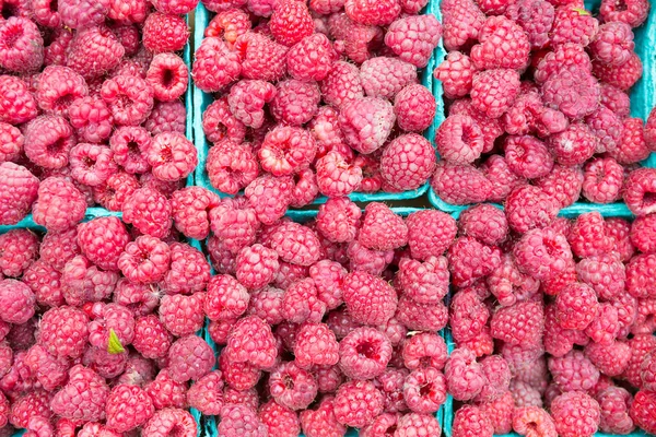 Frambuesas cultivadas orgánicamente para la venta en el mercado de agricultores del centro . — Foto de Stock