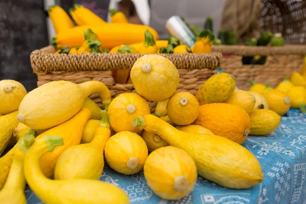 Early Golden Summer Squash at the farmers market. — Stock Photo, Image