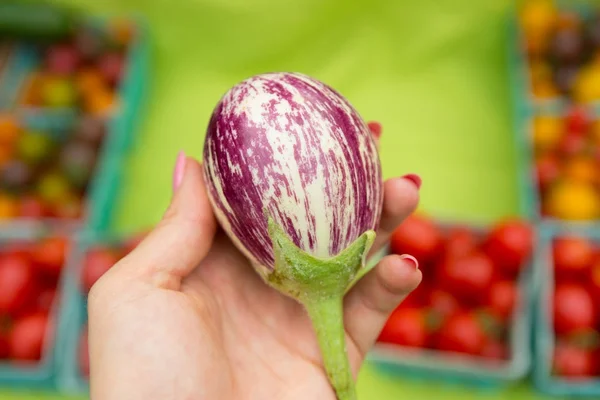 Primer plano de la berenjena orgánica fresca en el mercado de los agricultores — Foto de Stock