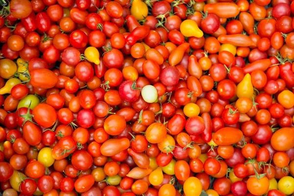 Tomates cereja vermelhos orgânicos no mercado de um agricultor — Fotografia de Stock