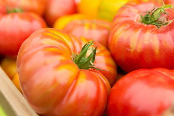 Organic tomatoes at farmers' market. — Stock Photo, Image