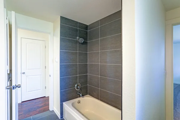 Imagen del interior del baño con combinación de bañera y ducha — Foto de Stock