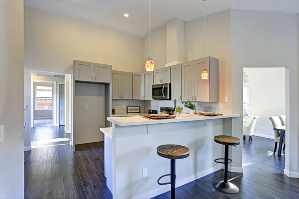 Světle šedé kuchyň interiér pokoje s barem styl kuchyně ostrov — Stock fotografie