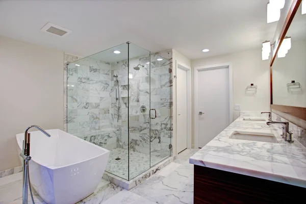 Elegante baño con bañera independiente y ducha a ras de suelo Imágenes De Stock Sin Royalties Gratis