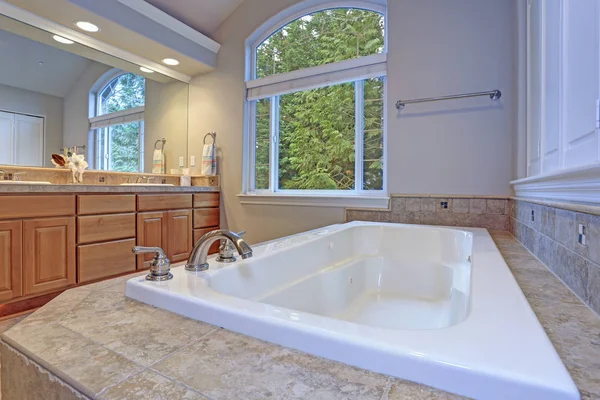 Impresionante baño principal con gabinete de tocador doble — Foto de Stock