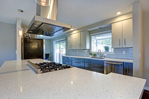 Elegantemente actualizada cocina con electrodomésticos de acero inoxidable . — Foto de Stock
