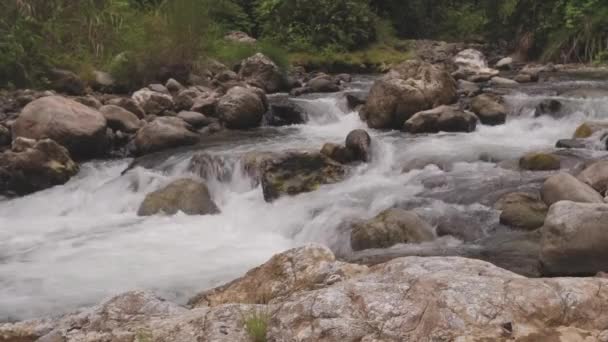 River in jungle Sumatra — Stock Video