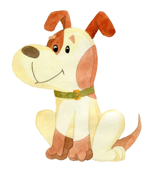 oturma tatlı köpek