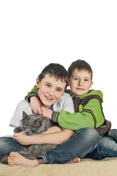 Jongen met een kat op een witte background6 — Stockfoto