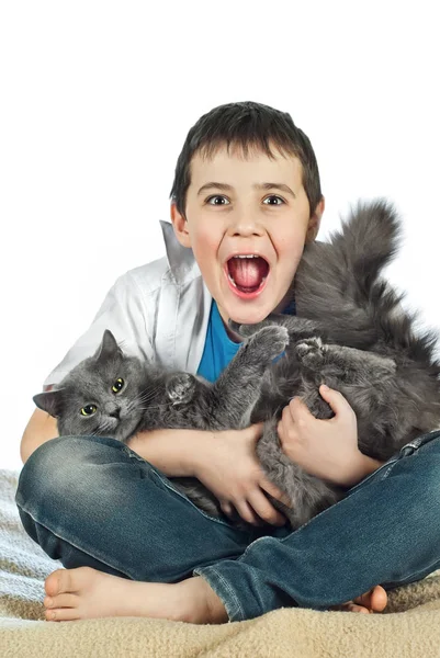 男孩与一只猫在白色 background10 — 图库照片