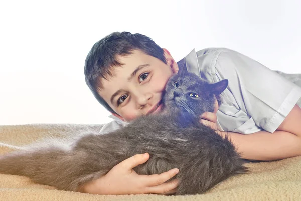 Jongen met een kat op een witte background14 — Stockfoto