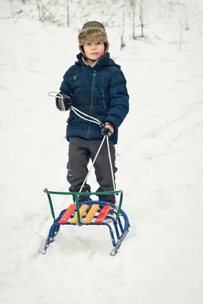 Děti sáňky v zimě na čerstvém vzduchu — Stock fotografie