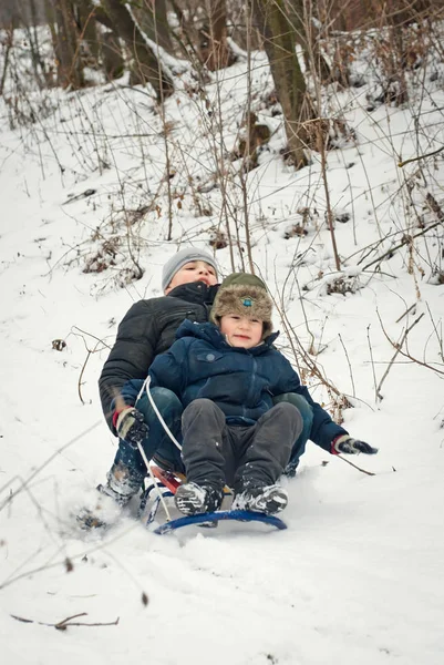 Barn släde på vintern i frisk luft — Stockfoto