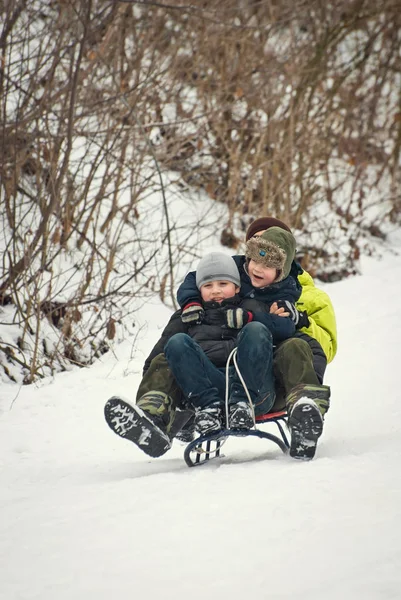 Slitta per bambini in inverno all'aria aperta — Foto Stock