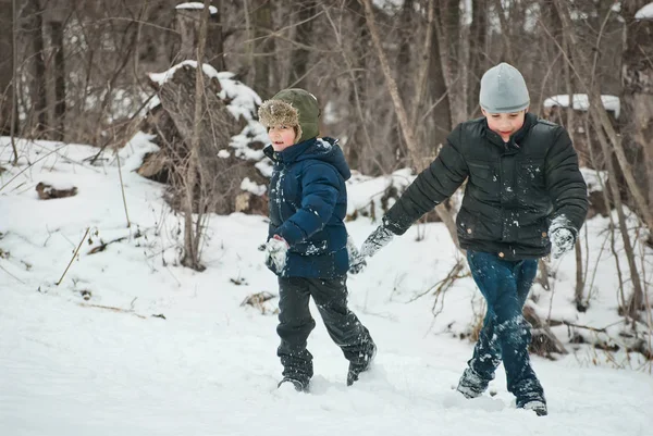 Killarna spelar i snön på vintern — Stockfoto