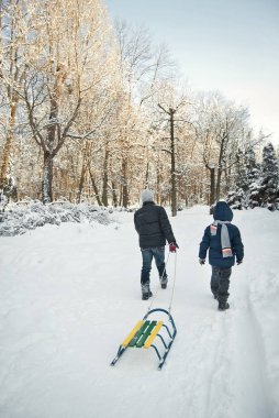 iki erkek kızakta kışın sürme