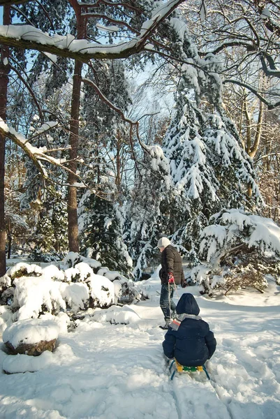 Due ragazzi in slitta in inverno — Foto Stock