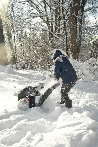 Killarna spelar i snön på vintern — Stockfoto