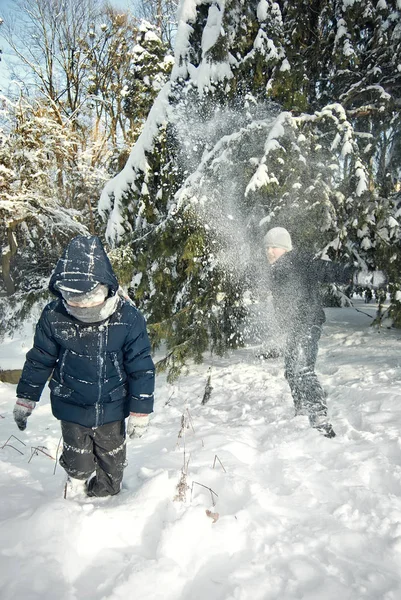 I ragazzi stanno giocando nella neve in inverno — Foto Stock