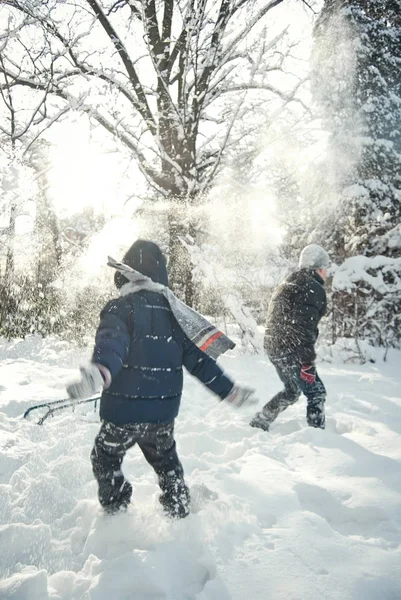 çocuklar kışın karda oynayan