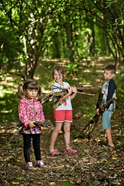 Children collect firewood in the woods — Stock Photo, Image