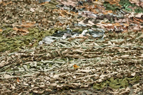 Malha Camuflagem Artesanal Camuflagem Mais Longa Mundo Feita Trapos Pedaços — Fotografia de Stock