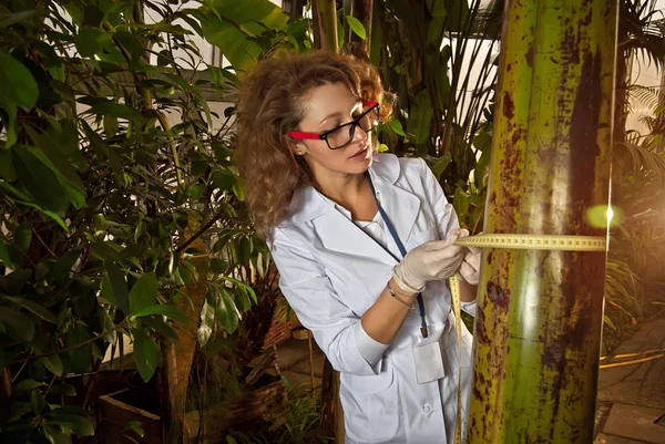 Científico Con Una Bata Médica Blanca Cuida Las Plantas Agroquímica — Foto de Stock