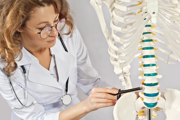 Woman in medical gown. Doctor with skeleton layout. Girl medic in glasses isolated on a white background. The doctor's assistant points to the bone. Study of diseases of the musculoskeletal system.