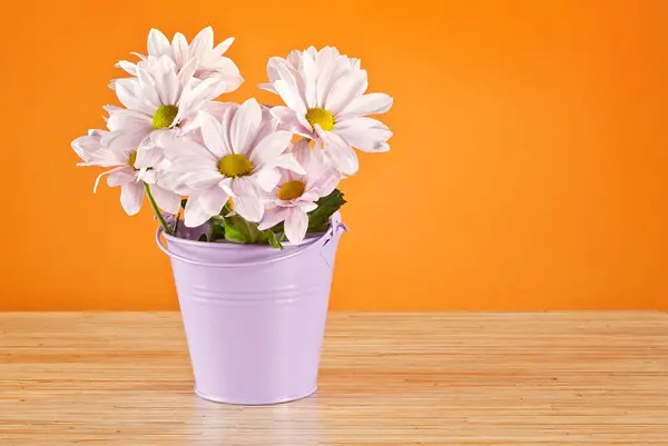 Marguerites Roses Dans Seau Violet Sur Fond Orange Bouquet Fleurs — Photo