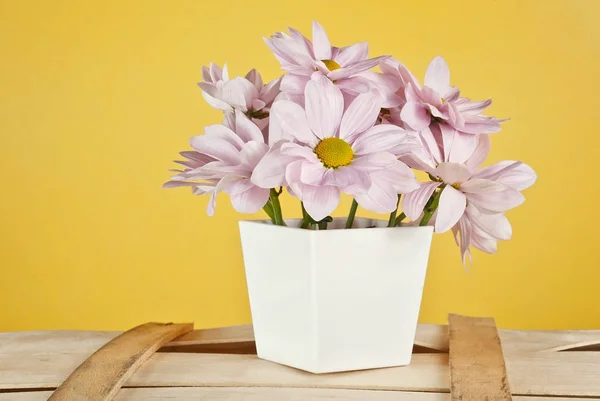 Marguerites Roses Dans Pot Blanc Sur Fond Jaune Bouquet Fleurs — Photo