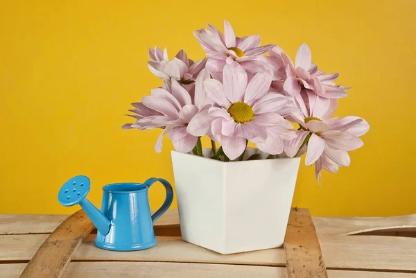 Pink Daisies White Pot Yellow Background Blue Watering Can Vase — Stock Photo, Image