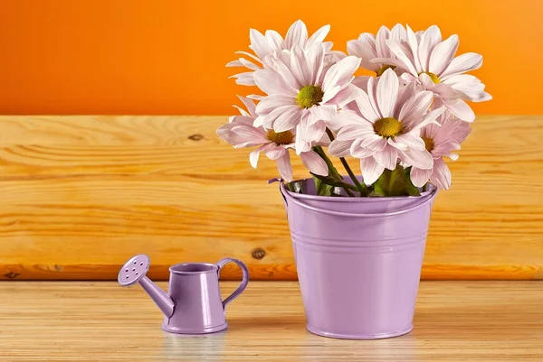 Pink Daisies Purple Bucket Orange Background Little Watering Can Bouquet — Stock Photo, Image