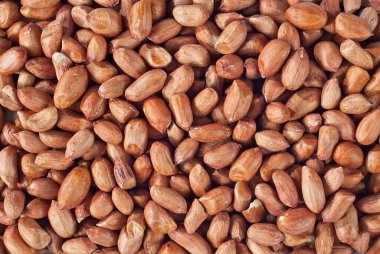 Kuru fıstık dokusu. Yığında bir sürü fıstık taneciği var..